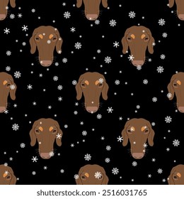 Seamless seasonal animal pattern with heads of dachshund breed dog and snowflakes. Canine pet portraits in winter. Cartoon style. On black background.