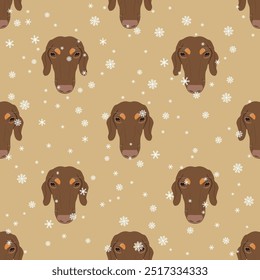 Seamless seasonal animal pattern with heads of dachshund breed dog and snowflakes. Canine pet portraits in winter. Cartoon style. On yellow background.