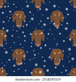 Seamless seasonal animal pattern with heads of dachshund breed dog and snowflakes. Canine pet portraits in winter. Cartoon style. On blue background.