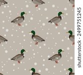 Seamless seasonal animal pattern with male mallards and snowflakes. Winter design with wild ducks. Anas platyrhynchos.