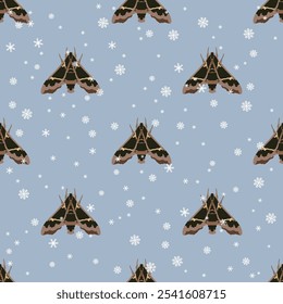 Seamless seasonal winter pattern with Cizara sculpta moths and snowflakes. Beautiful Sphingida butterfly with spotted wings. Insect animal design. Brown butterflies on blue background.