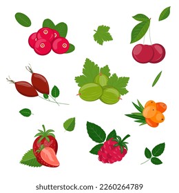 Seamless set with berries. Berries on a white background. Cranberry, cherry, rosehip, dog-rose, sea buckthorn, hippophae, strawberry, raspberry, gooseberry with leaves. 