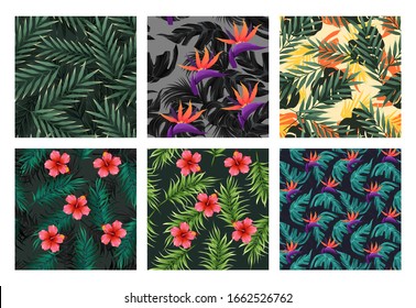 Seamless set. Bright tropical patterns with jungle plants. Exotic backgrounds with tropical leaves. Vector