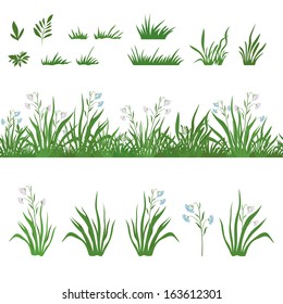 Seamless and set of green grass and flowers, isolated on white background. Vector