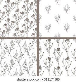 Seamless set hand draw summer pattern with herbs and wildflowers. Suitable for paper, wallpaper, textile. Herbal vintage background.