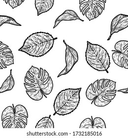 Seamless set rose, lily and monstera leaf, isolated plant. Sketch scratch board imitation. Black and white. Engraving vector illustration.