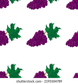 Seamless set of violet grapes with a beautiful leaf on a white background. Fruit background. Vector illustration of grapes.