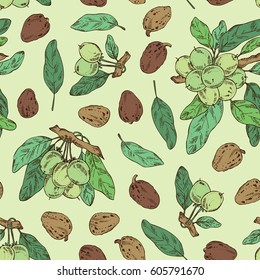 Seamless with shea: shea nut, leaf and shea plant. Cosmetics and medical plant. hand drawn.