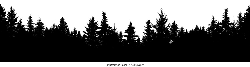 Seamless silhouette of coniferous forest, vector. Evergreen Christmas Tree, spruce, fir. Isolated vector on white background