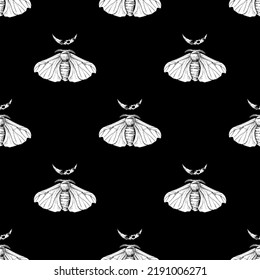 Seamless Silk Moth pattern on a dark background