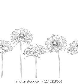 Seamless simple horizontal pattern with gerbera flowers on a white background hand-drawn in white and black color. Vector natural monochrome outline illustration