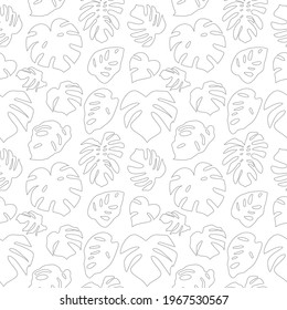 Seamless simple monochrome pattern with gray outline monstera leaves on white background. Vector illustration.