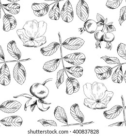 Seamless sketch briar template background. Vector illustration for your design