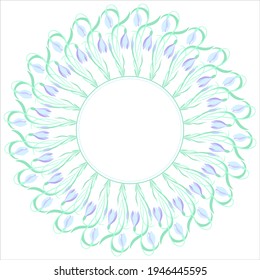 Seamless snowdrops pattern. Round frame of spring flowers. Cute objects on white background for your design. Floral nature. Perfect for Greeting card. EPS 8.