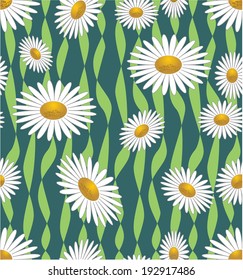 Seamless spring background with white daisies on green grass area, classic vector background with floral motif