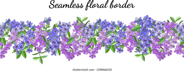 Seamless spring flower border isolated on white. phlox vector hand drawn pattern. Excellent print for greeting cards, clothes, bed linens, fabric, textile, wallpaper, wrapping paper, gift box.