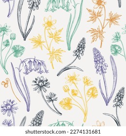 Seamless spring flowers pattern. Hand-drawn wildflowers background. Forest plant and wild flowers illustration. Bluebell, grape hyacinth, muscari, fritillary, winter aconite, wood anemone background