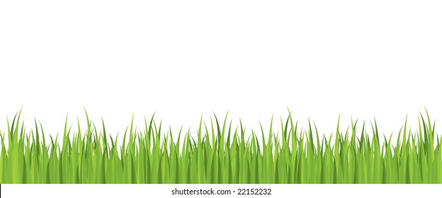 Seamless spring grass vector