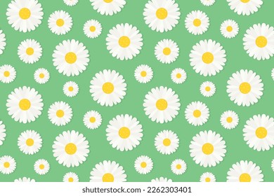 seamless spring pattern with daisy flowers- vector illustration