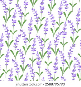 Seamless spring pattern with lavender flowers on white background