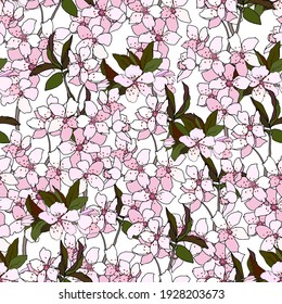 Patrón primaveral sin foco de flores sakura, flores rosadas sobre un fondo blanco. Impresión de vectores a mano para tela y papel para decoración