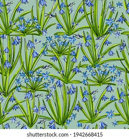 Seamless spring primroses pattern. Scilla flower or blue copse. Drawn in pastel in the style of a botanical sketch.