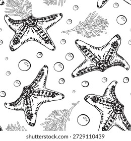 Patrón de estrella de mar sin fisuras. Diseño de fondo de animales marinos de verano. Concepto marino. Diseño fresco del océano para la materia textil, el Fondo de pantalla, la tela y el diseño interior.