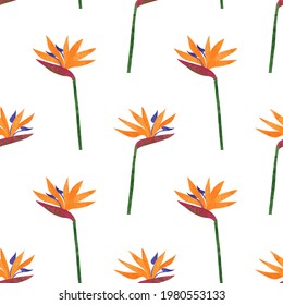 Seamless strelitzia flowers pattern. vector tropic background.