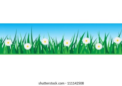 seamless strip of grass with daisies on a background of the sky
