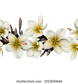seamless strip of Magnolia flower sketch vector graphics color picture