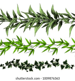 seamless strip of plants and leaves set sketch vector graphics color picture