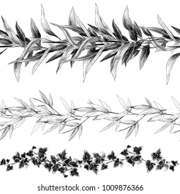 seamless strip of plants and leaves set sketch vector graphics monochrome drawing