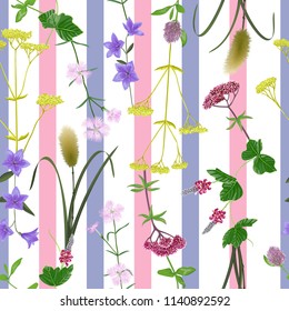 Seamless stripe pattern with seven herbs of autumn equinox. Japanese wallpaper, repeat backdrop for Shubun no hi greeting, birthday cards, wedding inviration, covers and posters, textile prints.