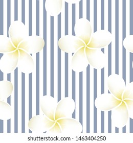 Seamless striped vector tropical pattern. Plumeria, frangipani.