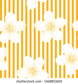 Seamless striped vector tropical pattern. Plumeria, frangipani.