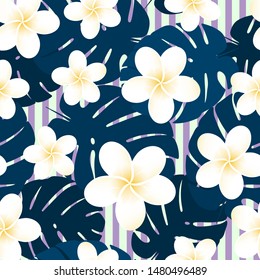 Seamless striped vector tropical pattern. Plumeria, frangipani.