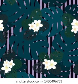 Seamless striped vector tropical pattern. Plumeria, frangipani.