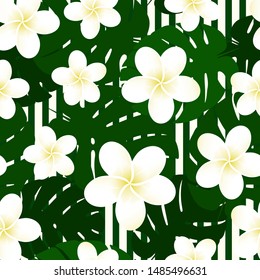 Seamless striped vector tropical pattern. Plumeria, frangipani.