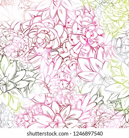 Seamless sucullent pattern. Color line art beautiful background