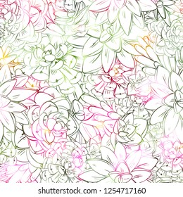 Seamless sucullent pattern. Color line art beautiful background