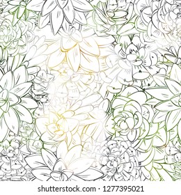 Seamless sucullent pattern. Color line art beautiful background