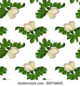 Seamless summer floral pattern background with a blossoming branch of wild rose. Vector Illustration