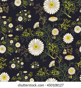 Decoración floral veraniega sin inconvenientes con dásidos decorativos y follaje. Se pueden utilizar adornos vectoriales con flores dibujadas a mano sobre fondo gris oscuro violeta para textiles, ropa de cama, ropa de cama, estampado, etc