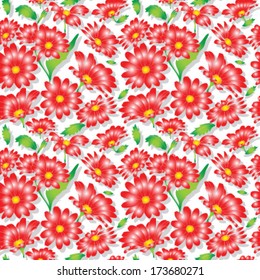 seamless summer pattern flower red daisy on white background vector