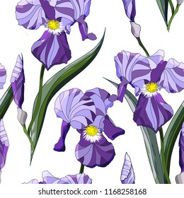 Seamless summer pattern flower violet irises, isolated on white  background vector illustration