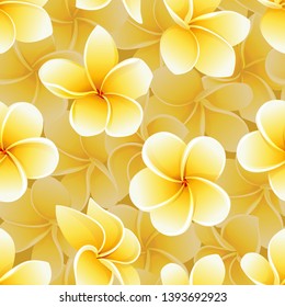 Seamless summer pattern with frangipani plumeria tropical flowers vector background. Perfect for wallpapers, pattern fills, web page backgrounds, surface textures, textile
