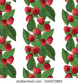 Seamless summer pattern with ripe raspberries and leaves. Vector illustration. Design for textiles, labels, posters, banners