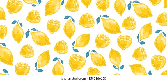 Seamless summer pattern with sliced lemons. Vector illustration. 
Horizontal banner with lemons. 
Watercolor lemons on a white background. 