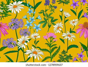 Seamless summer pattern. Wild flowers chamomile, herbs, bells. Floral decoration for printing on wallpaper, paper, textiles, fabrics. Hand drawing sketch. Fashion illustration. Yellow background.