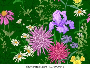 Seamless summer pattern. Wild flowers chamomile, herbs, aster, iris. Floral decoration for printing on wallpaper, paper, textiles, fabrics. Hand drawing sketch. Fashion illustration. Green background.